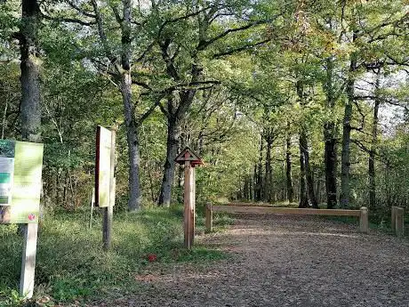 La Marlotterie entre landes et roselières