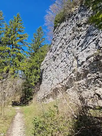 La cendrée