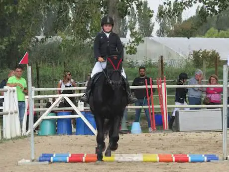 Photo de Horse Land asd