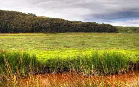 Photo de Campo Comunale Rio Murtas - Narcao