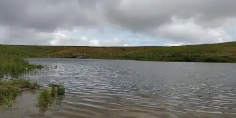 Pinkworthy Pond