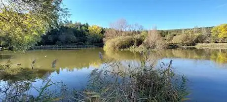 Photo de Plan d'eau de Monieux
