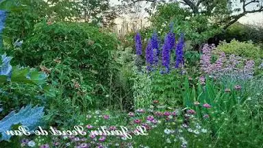 Photo de le jardin secret de pan