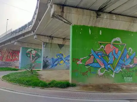 Murales di Viale dei Parchi