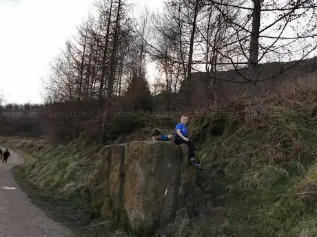 Guisborough Woods