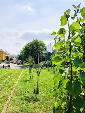 Il Frutteto