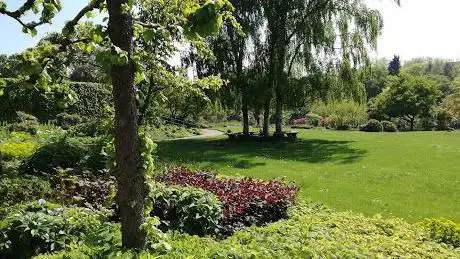 Rare plants market in Grugapark