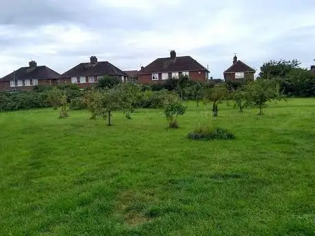 Edible Forest Garden