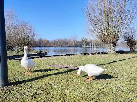 Point de vue sur la rivière l'Essonne
