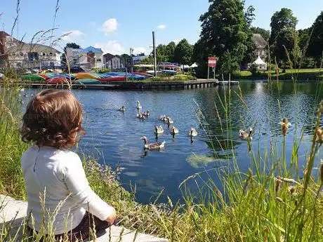Photo de Parc d'Immercourt