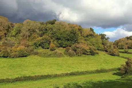 Photo de Chilcombe Bottom