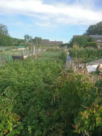 Photo de Barnby Dun Allotments