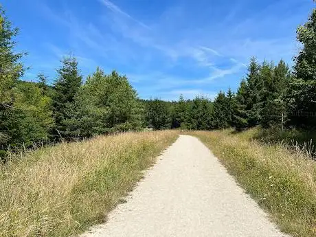Photo de CHILTERN NATURE - THE HALE END WENDOVER WOODS
