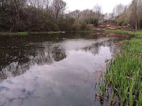 Hylton Dene Pond