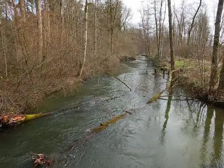 Photo de Alte Aare Nature Reserve