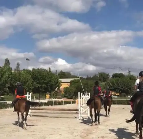 Photo de Club HÃÂpico NCC Alicante