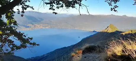 Morissolino