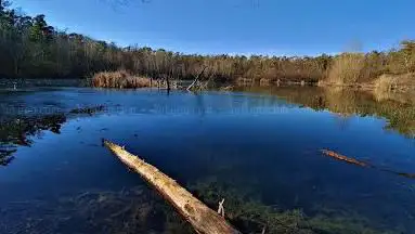 Karlsternweiher