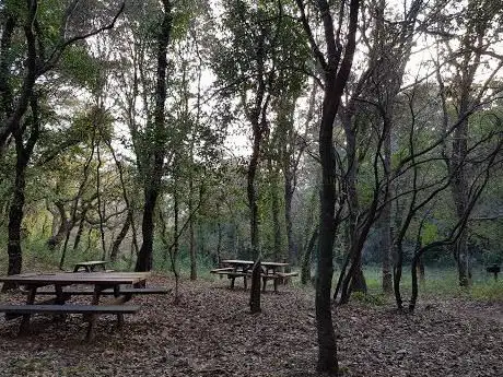 Photo de Aire de pique-nique de l'Arlatane