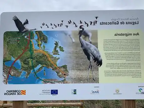 Photo de Mirador de aves de Tornos