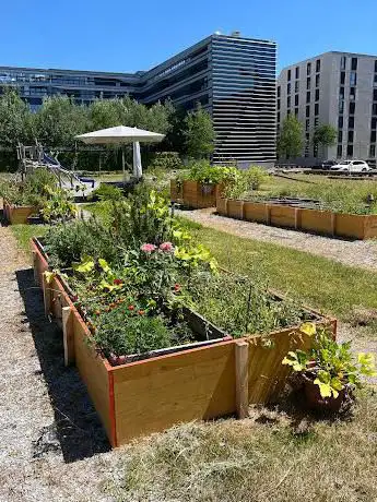 Urban Gardening Glattpark