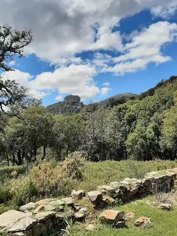 Foresta di Girgini