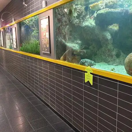 Aquarium ADP Orly