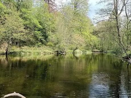 Étang du Clos des Chênes - Eikenhofvijver