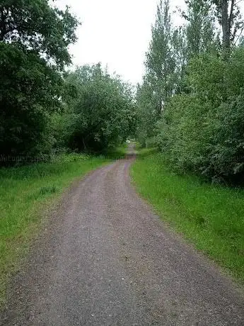 Waverley Woodlands