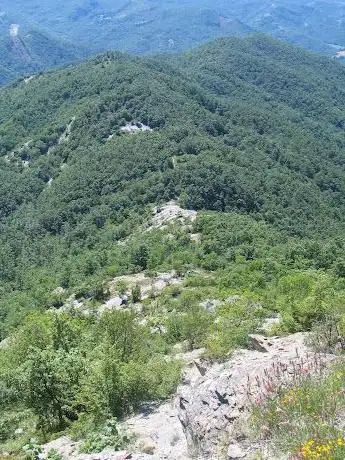 Photo de Riserva naturale dell'Alpe della Luna