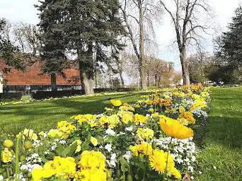 Petit jardin