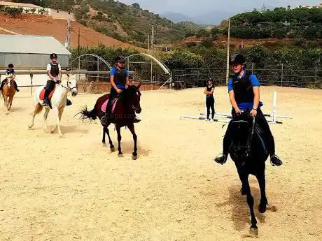 Photo de Happy Horse Riding Academy Manilva