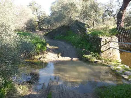 Photo de Ruta Las Pajanosas - El Garrobo