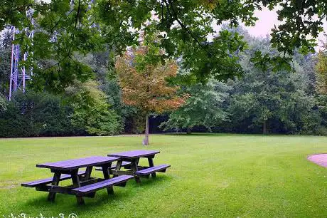 Park 