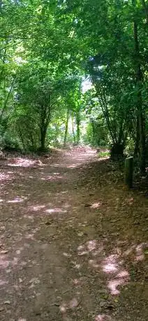 Photo de El bosc de la Ribera
