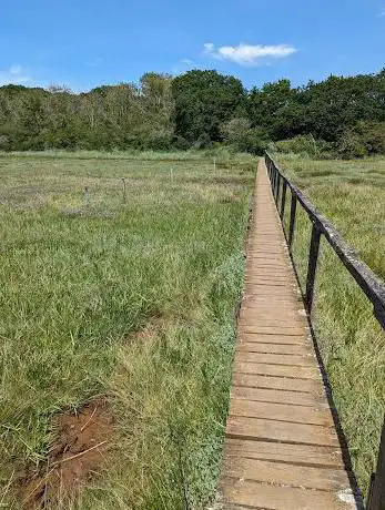 Boardwalk