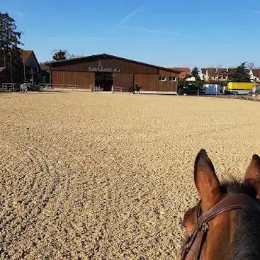 Photo de Le Manège Sallivaz