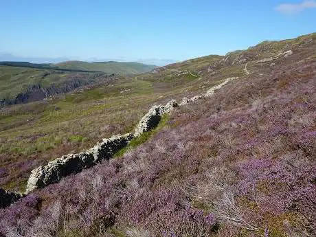 Mynydd Moel