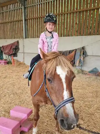 Photo de Foxendown Pony Sanctuary
