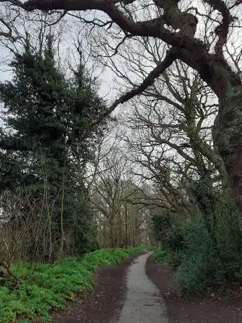 Photo de Blackheath Woods