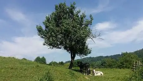 Photo de Parco di Montevecchia e della valle del Curone