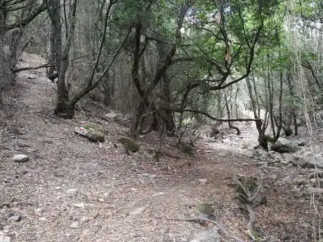 Bivio per Monte Melas e Sfinge