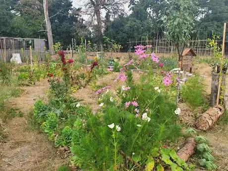 Les Jardins Partagés