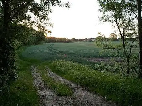 Kingsbury Meadow Local Nature Reserve