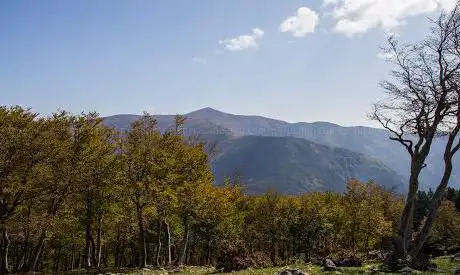 Photo de Monte Fistocchio