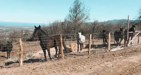 Ranch Paganacciu Balade à cheval en Corse