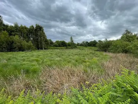 Photo de The Pitt Me Carrs Nature Reserve