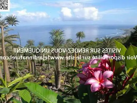 The Natural Garden