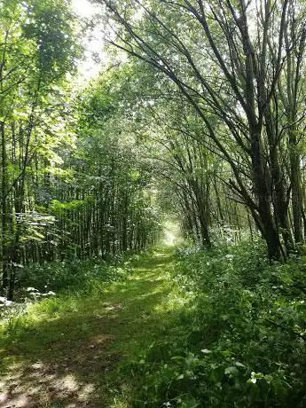 Photo de Herkenrodebos