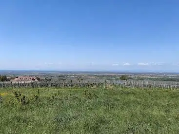 Photo de Point de vue sur la plaine d'Alsace